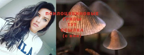 марихуана Горнозаводск
