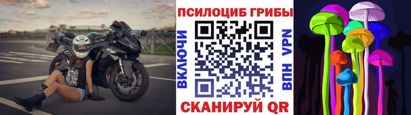 даркнет сайт  Иланский  Псилоцибиновые грибы Cubensis 